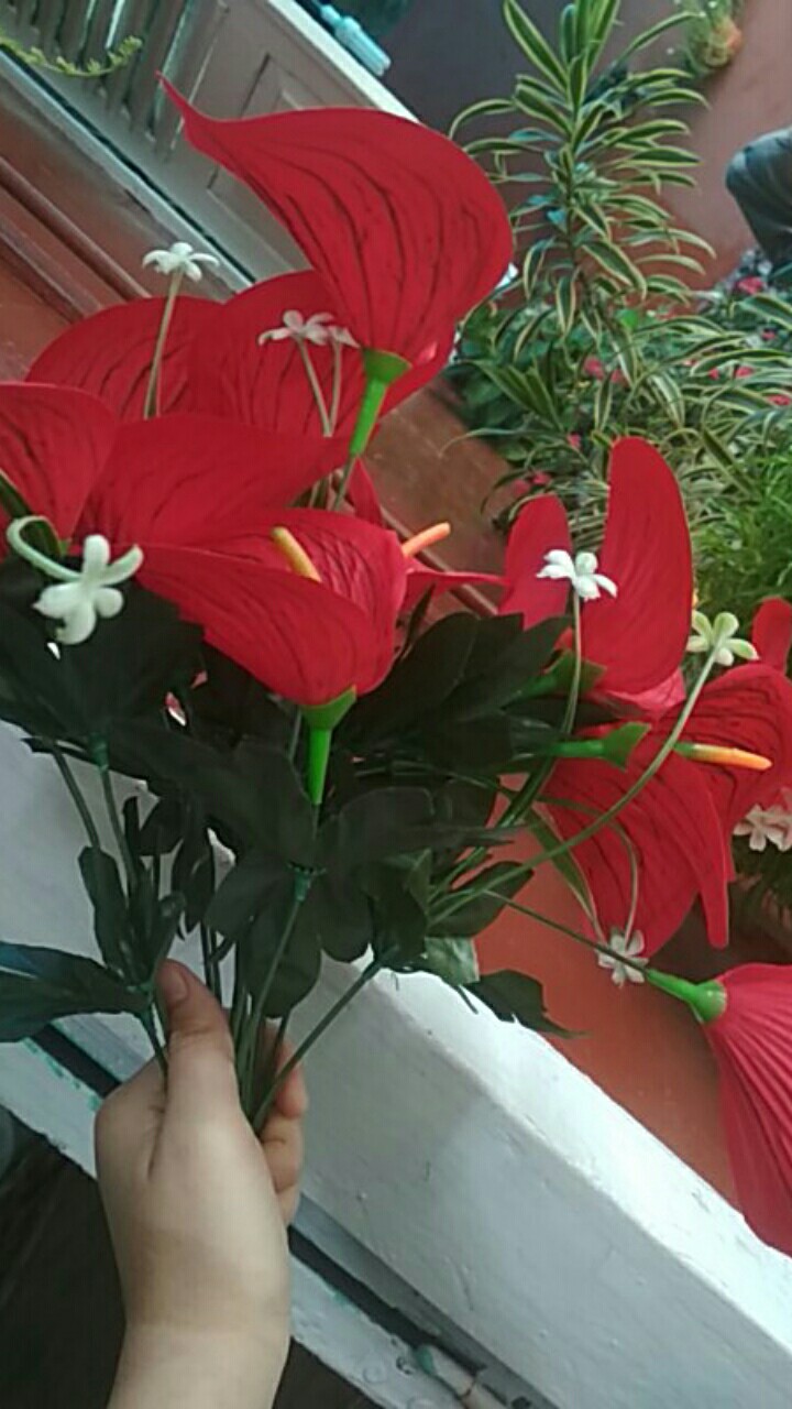 Bunga Calla Lily Artificial 7 Kuntum (tanpa Pot)