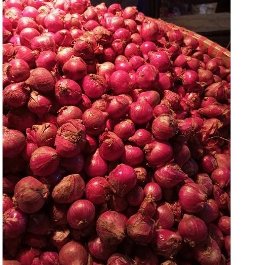 

Skip Aja!!☄️ Bawang merah kering 1kg | Ready Stok | Termurah | Grosir
