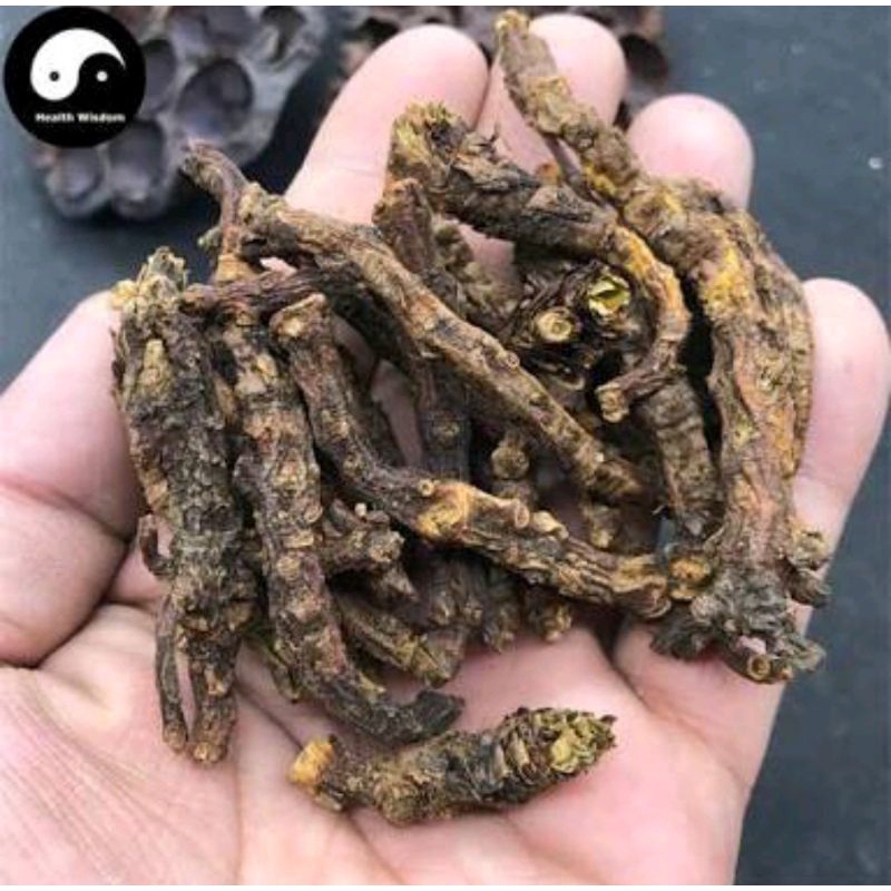 

600 G GR GRAM HU HUANG LIAN FIGWORTFLOWER PICRORHIZA RHIZOME