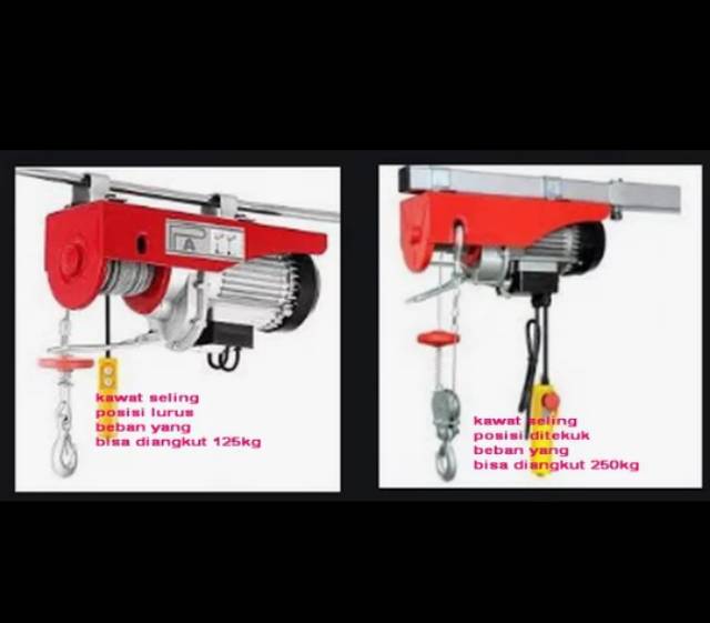 Elektrik hoist electric hoist katrol listrik willfred 125/250kg 20m