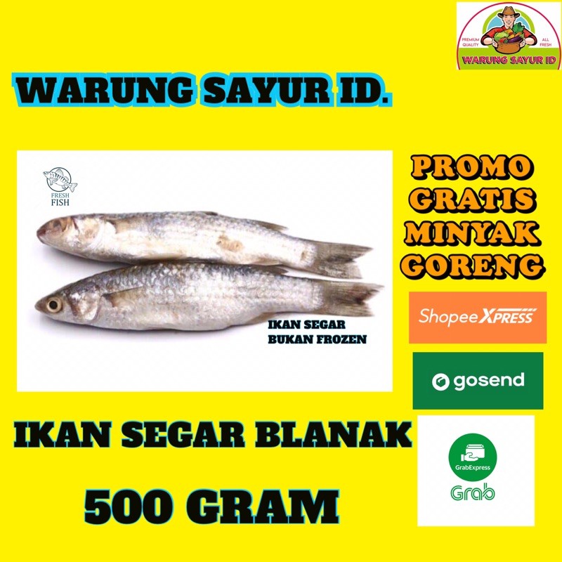 

WARUNG SAYUR ID.| IKAN BLANAK SEGAR 500 GRAM| IKAN SEGAR | IKAN ONLINE