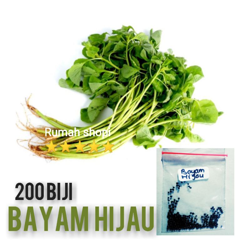 Biji Bayam hijau Biji Sayuran Biji Bayam Hidroponik Biji Sayuran