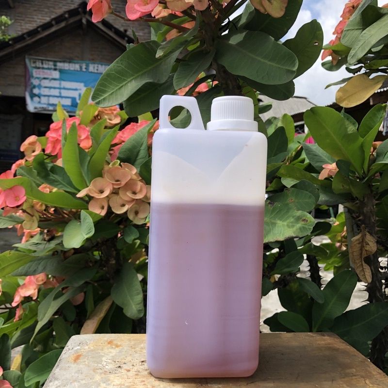 

MADU ASLI MURNI RANDU 1KG SUPER ASLI 100% PURE MADU RAW HONEY