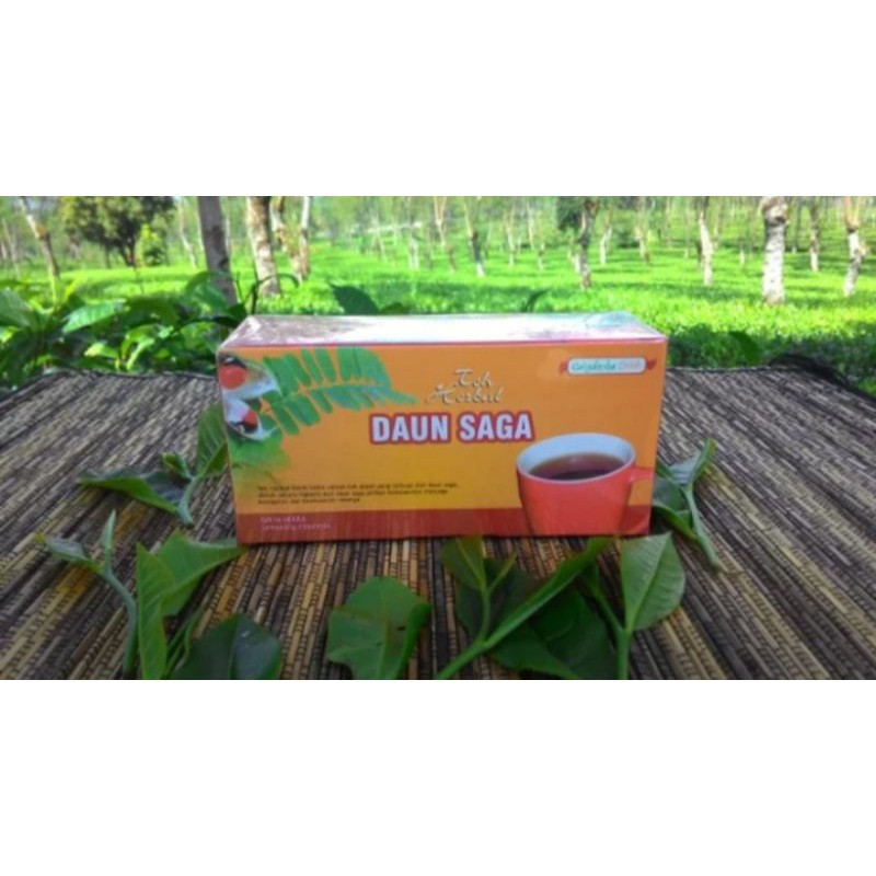 

Teh Daun Saga Herbal untuk mengobati Batuk, Sesak Nafas dan Radang Tenggorokan original produk