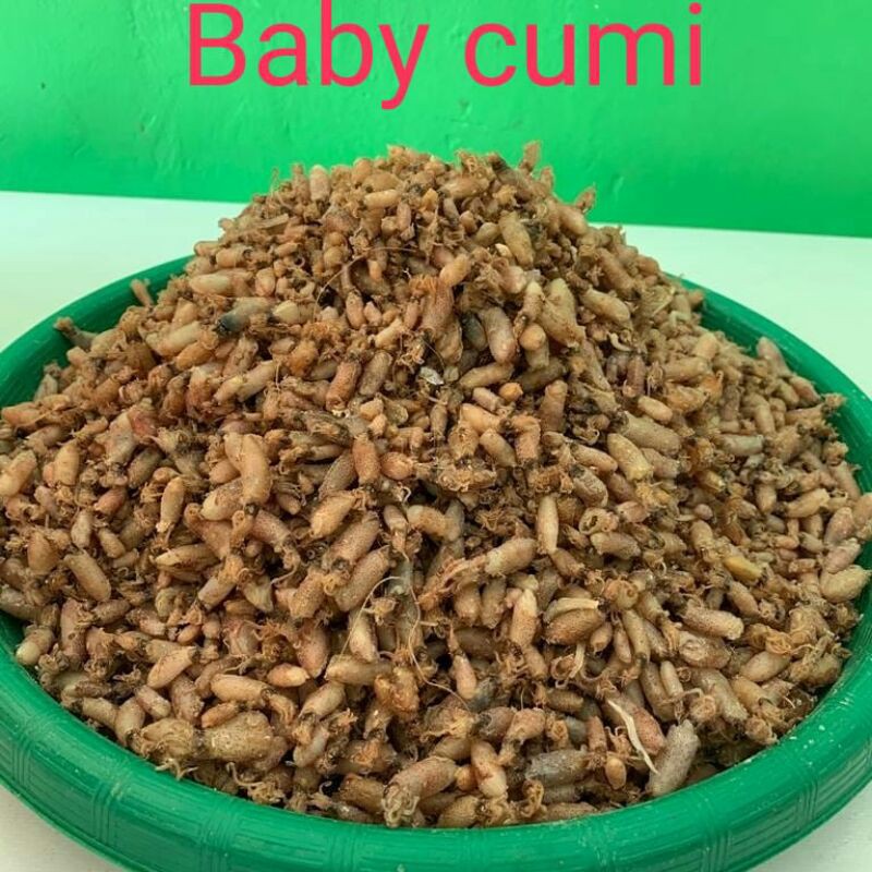 

Baby cumi 250gr