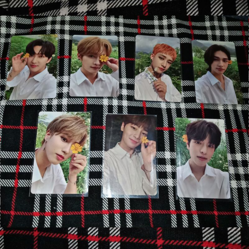 PC POB NOEASY SET / PCS STRAYKIDS SKZ PHOTOCARD OFFICIAL