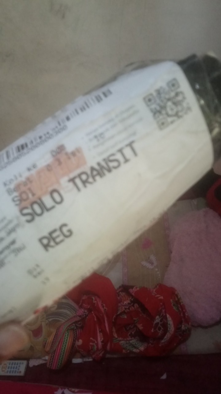 Hormon Variegata Tanaman Monstera Dll