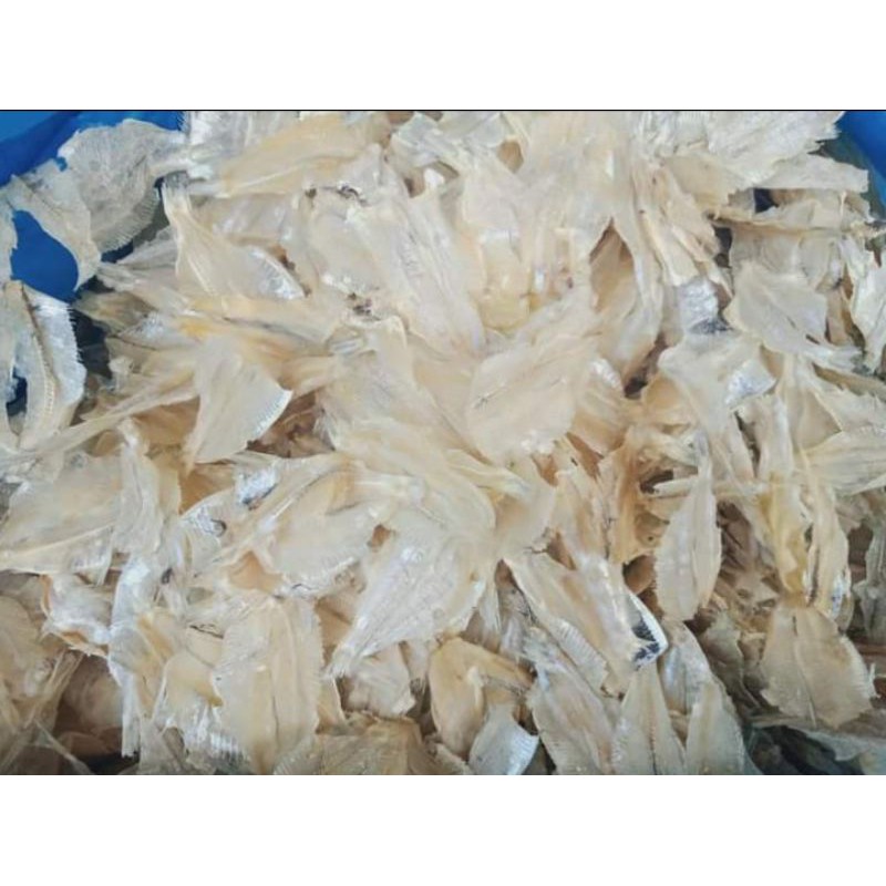 

pakkang/ kapas