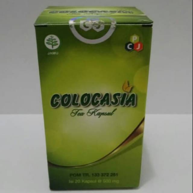 Colocasia obat herbal tulang dan sendi