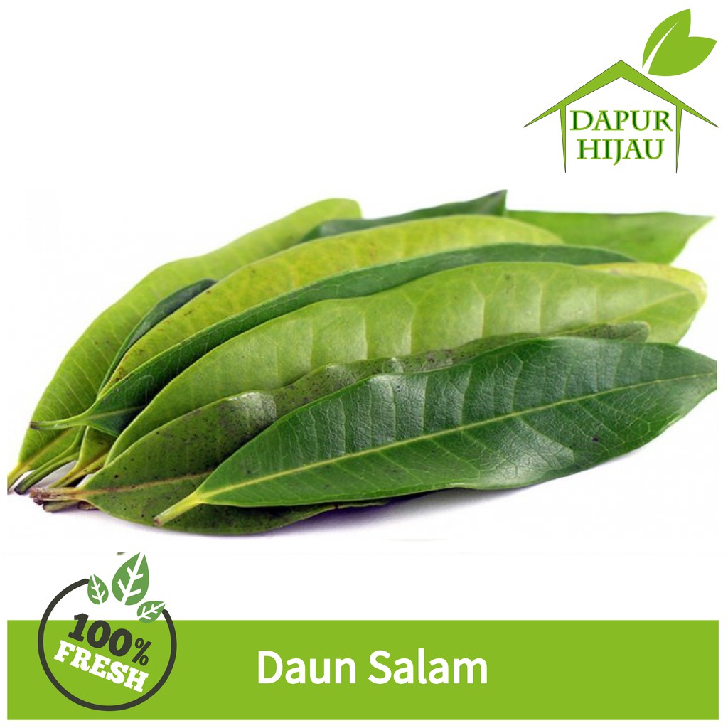 

Daun Salam - Daun Salam Segar Organik 20 Gr (Harga Murah !!)