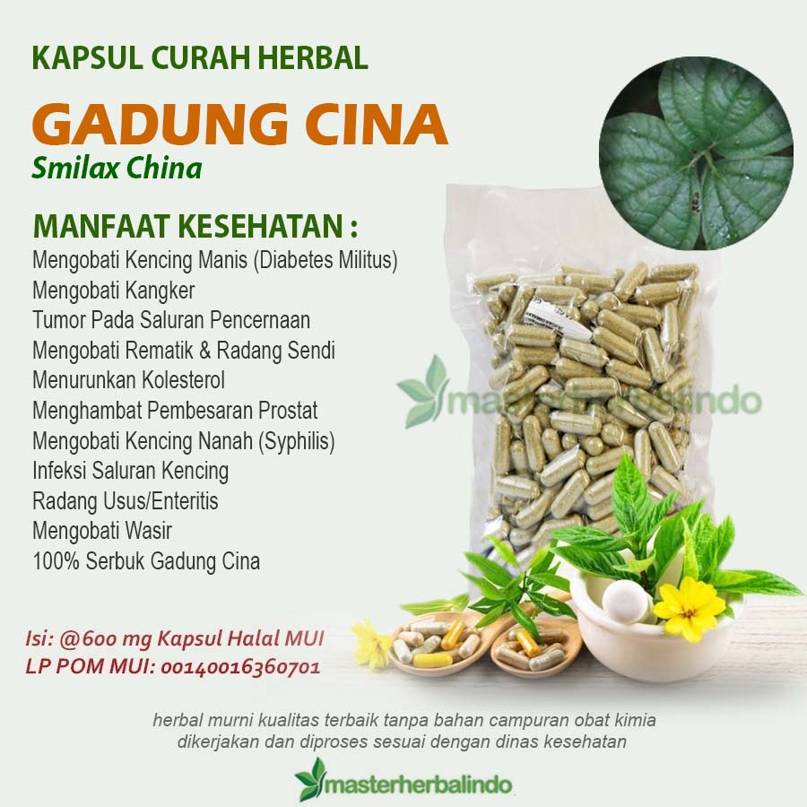 

GADUNG CINA 100 Kapsul Curah Herbal Syphilis Tumor Wasir Diabetes Usus