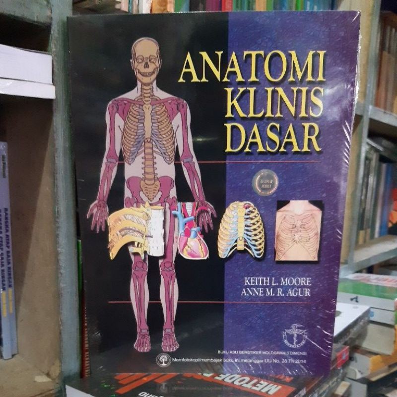 anatomi klinis dasar