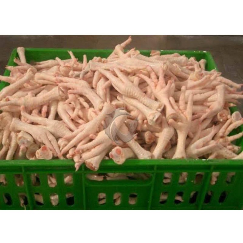 

CEKER AYAM SEGAR