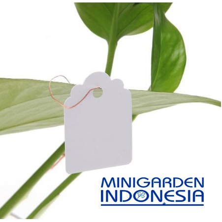 label penanda bibit benih tanaman model gantung AB009 hidroponik pertanian perkebunan