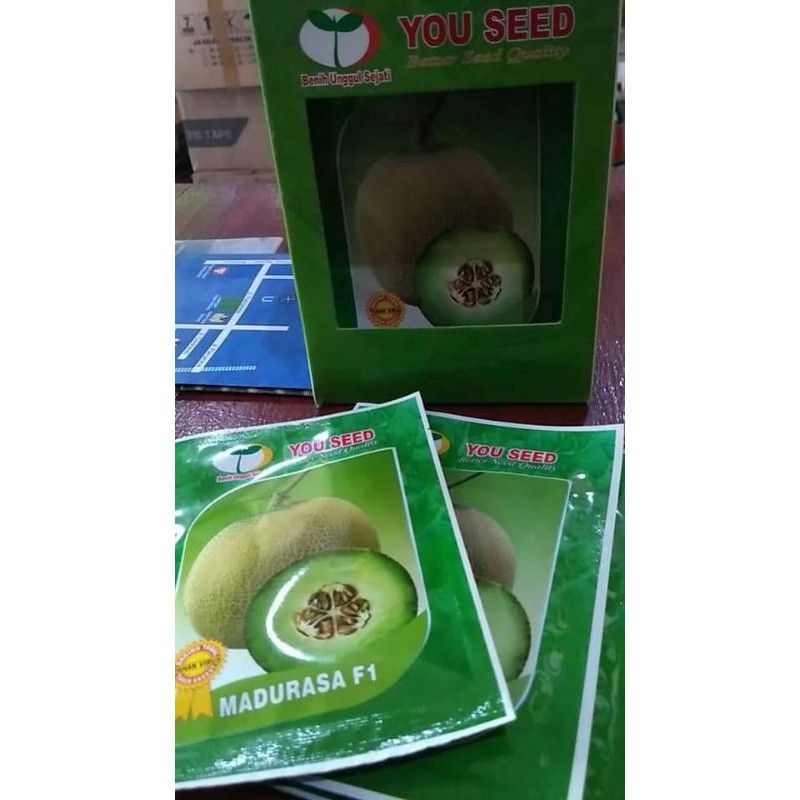 Benih Melon Madurasa f1 Hibrida Tahan Virus