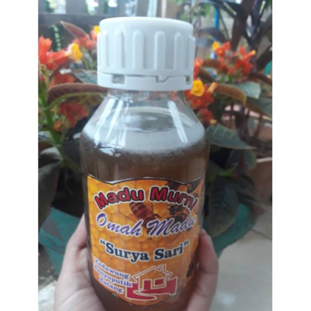 

Madu multi flora murni