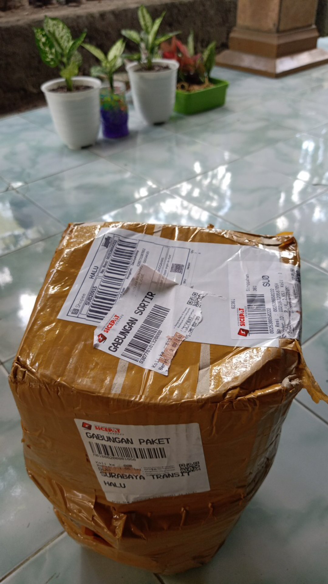 Pot Tirus 18 Pot Pirus My Honey 18 Gbl Putih Glossy