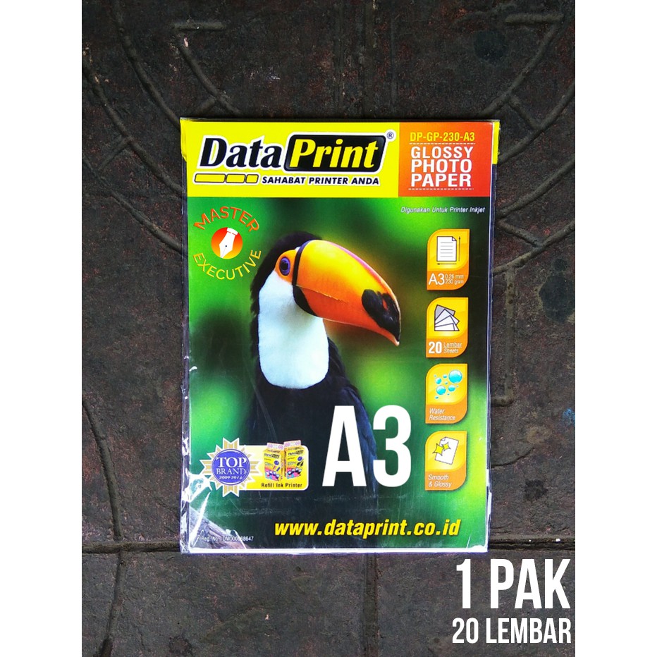 [Pak - 20 Lembar] Data Print Glossy Photo Paper 230 gsm A3 / DP-GP-230-A3 Dataprint