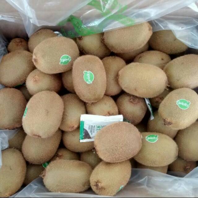 

Buah Kiwi Segar