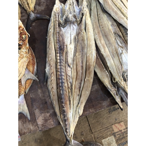 

tenggiri 1,3 kg