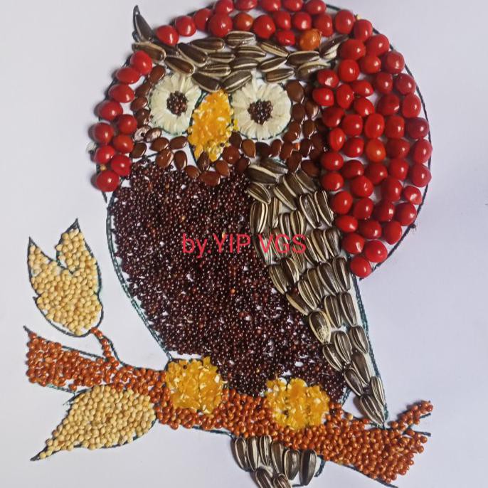 Buruan Serbu] Kolase Biji Burung Hantu Bulan