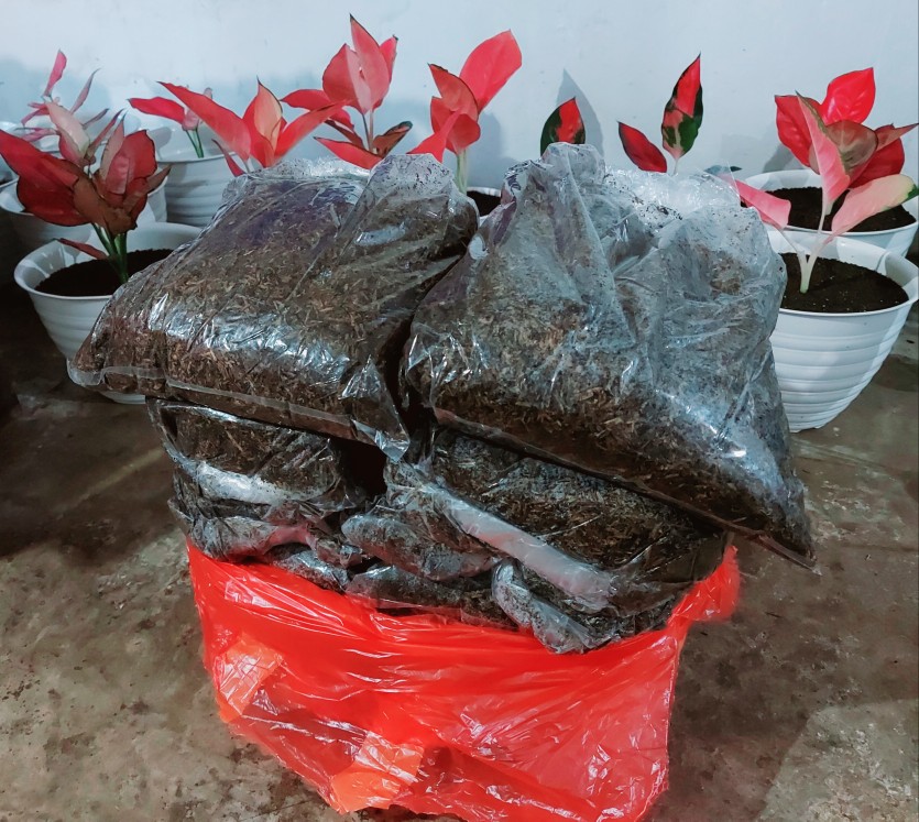 Sekam Mentah Fermentasi 1kg Metan Media Tanam Tanaman Hias Kulit Padi