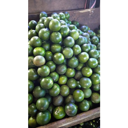

JERUK PERAS / BUAH JERUK FRESH 1KG
