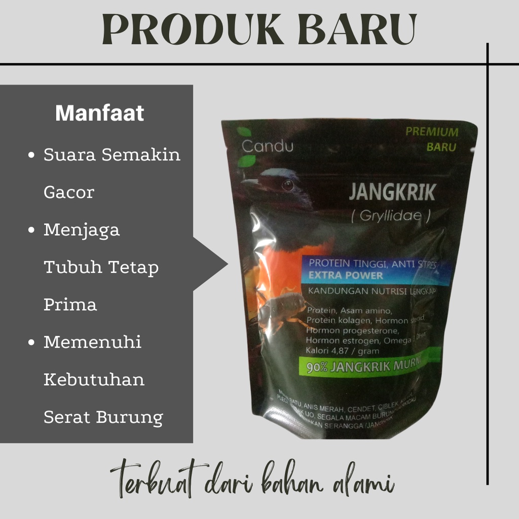 pakan burung tepung jangkrik pakan pengganti alami jangkrik