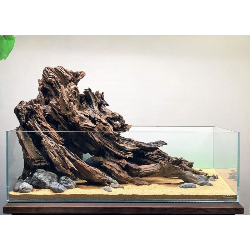Kayu Rentek Aquascape Paludarium Size XL