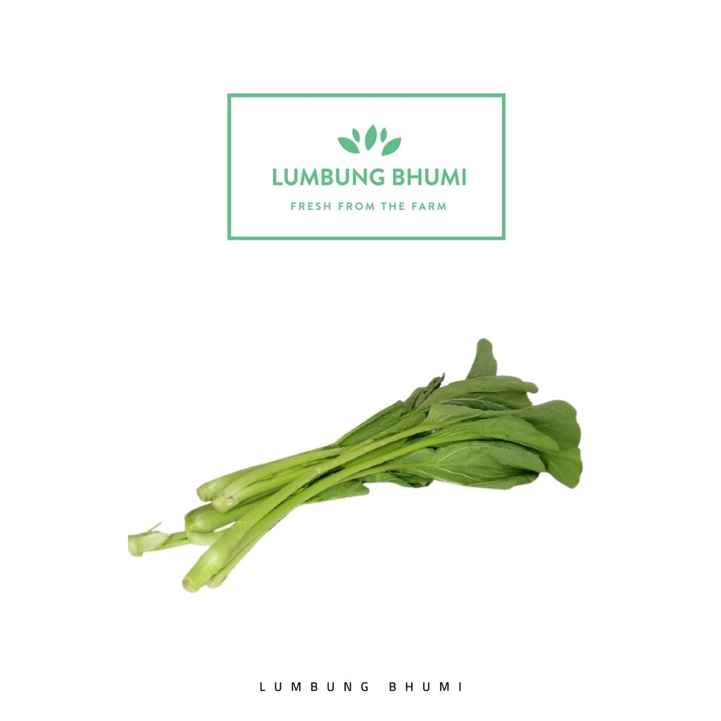 

Lumbung Bhumi - Sawi Hijau Caisim Kampung 150 Gr ( Sayur Curah )