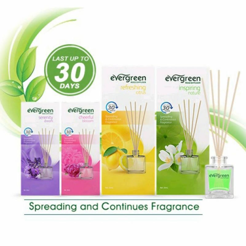 Evergreen Diffuser Set Pewangi Ruangan 30ml