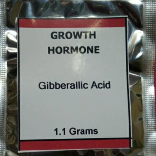 Terbaik GIBERELIN GIBBERALLIC ACID GA3 HORMON PUPUK BUAH TANAMAN