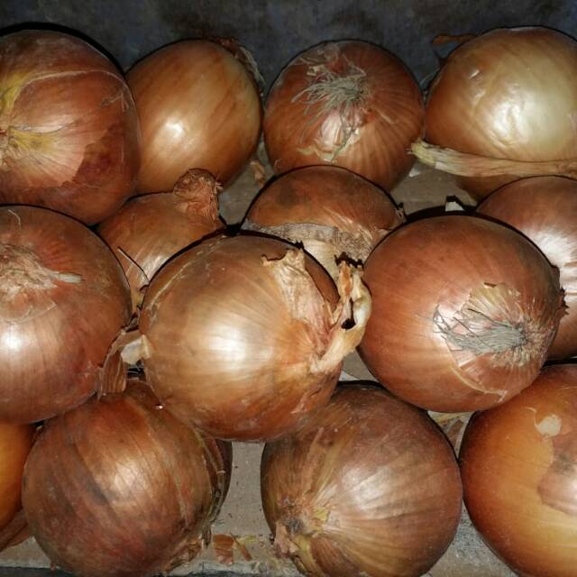 

Bawang Bombai / Bombay 250 gram