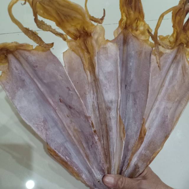 

SOTONG KERING