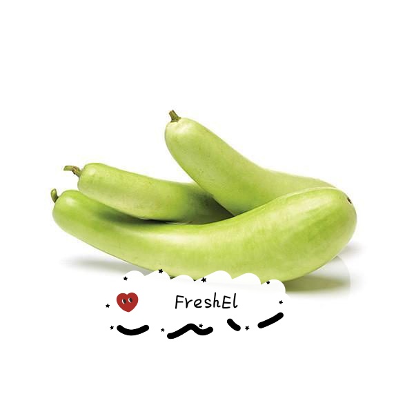 

FreshEl - LABU AIR 1 BUAH
