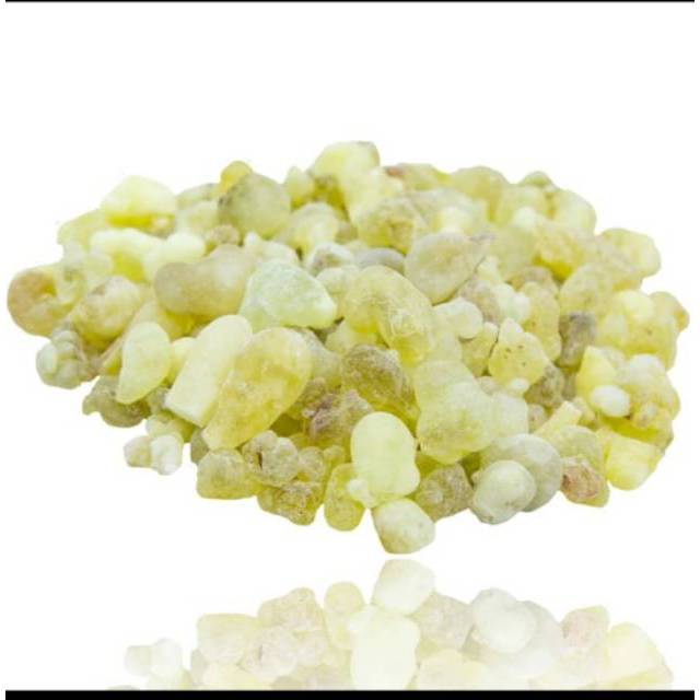

Promo 500 Gram Premium Royal White Hojari Frankincense Kemenyan Luban Asli Oman