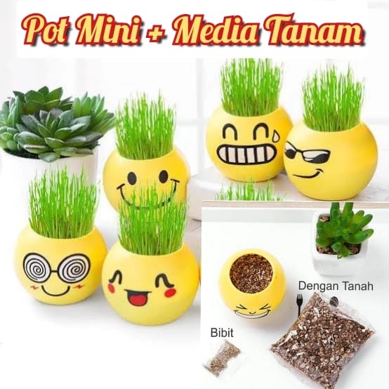 ⭐️ Jendela Kosmetik ⭐️ Pot Tanaman Hias Rumput Emoji / Vas Bunga Emoticon / Pot Tanaman Emoji / Pot Tanaman Rumput / Pot Serba Guna / Pot Emoji / Pot Bunga Lucu