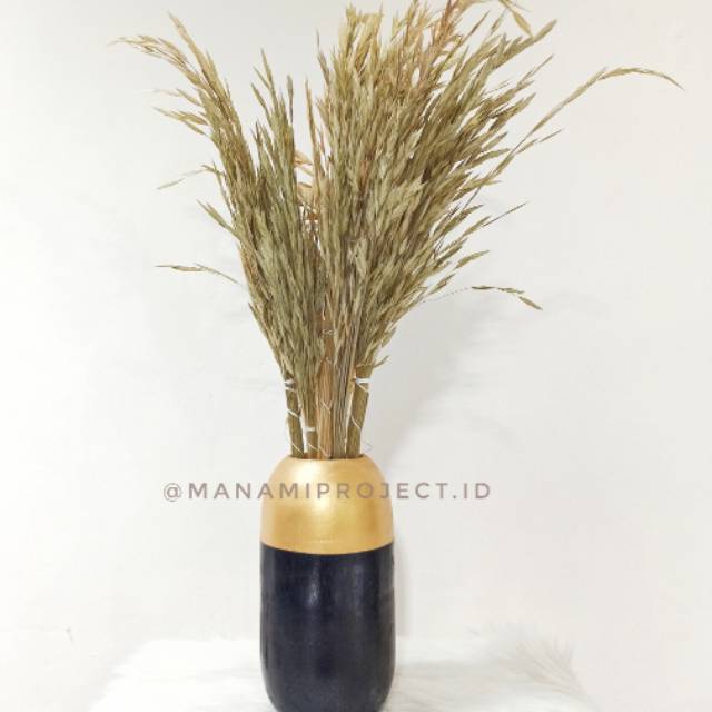 Bunga Kering Padi Gunung / Dried Paddy / Bunga Padi Gunung Kering