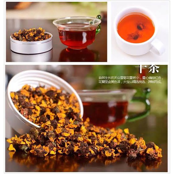 

PREMIUM - SNOW CHRYSANTHEMUM / kunlun snow chrysanthemum