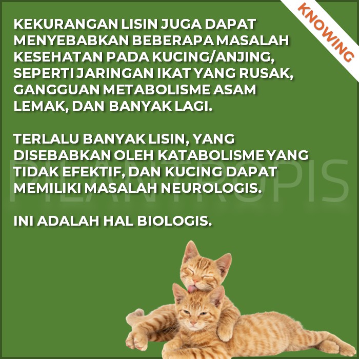 KAREIN LYSINE VITAMIN KUCING PENAMBAH NAFSU MAKAN KUCING ANJING SUPLEMEN OBAT PENGGEMUK KUCING MURAH