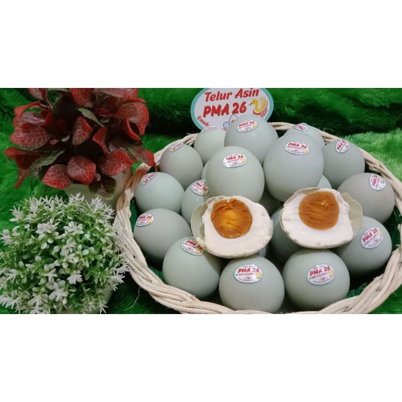 

TELUR ASIN PMA26