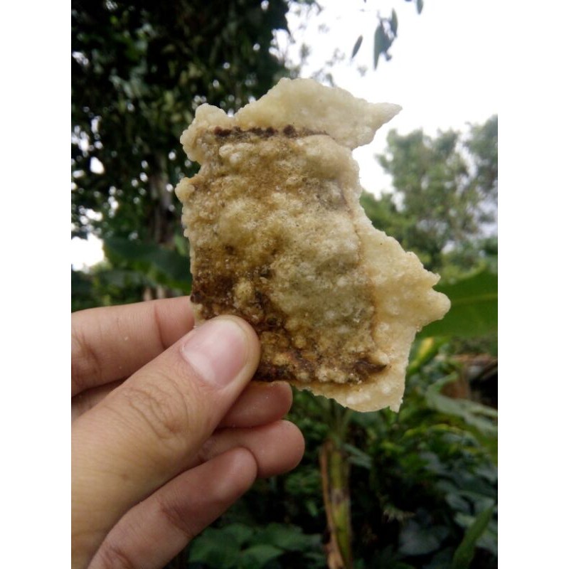 

Keripik Dage Kiloan