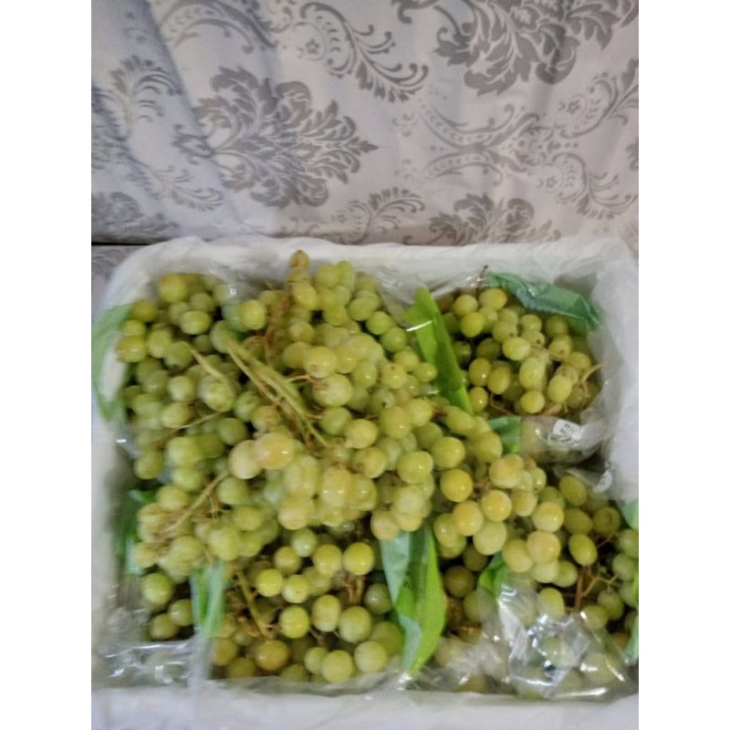 

BUAH SEGAR ALBAROKAH-ANGGUR HIJAU CRISPY TANPA BIJI