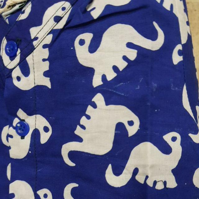Popkids Shirt – Indra, Nala, Wisnu, Dino Kemeja Batik Anak