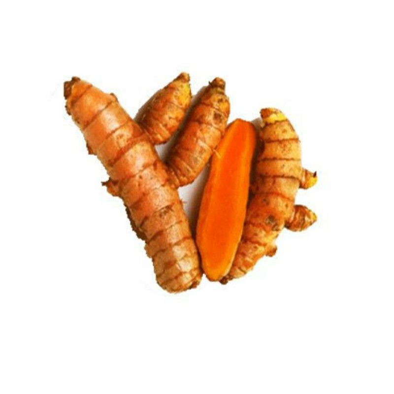 

kunyit segar fresh 1 kg rempah rempah