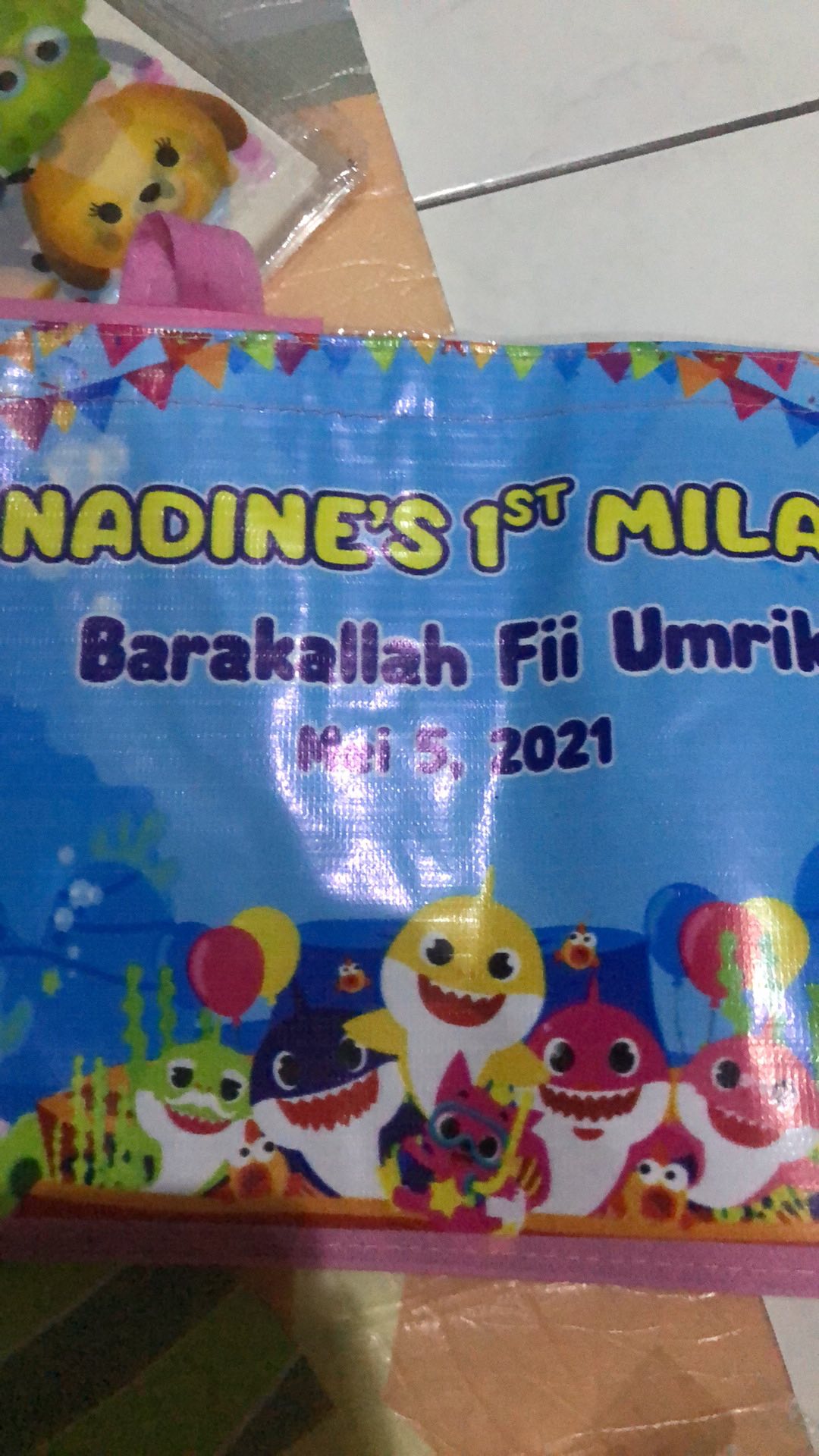 Tas Ulang Tahun Mika / Tranparan Muat Box Bento