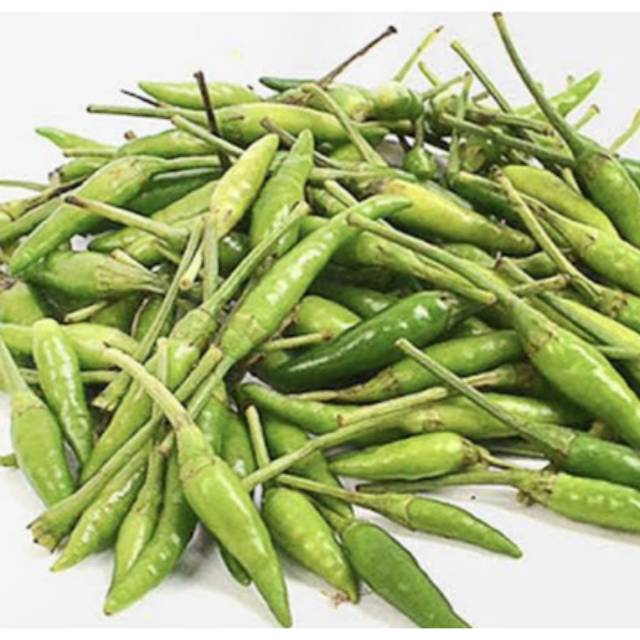 

CABE RAWIT HIJAU SEGAR