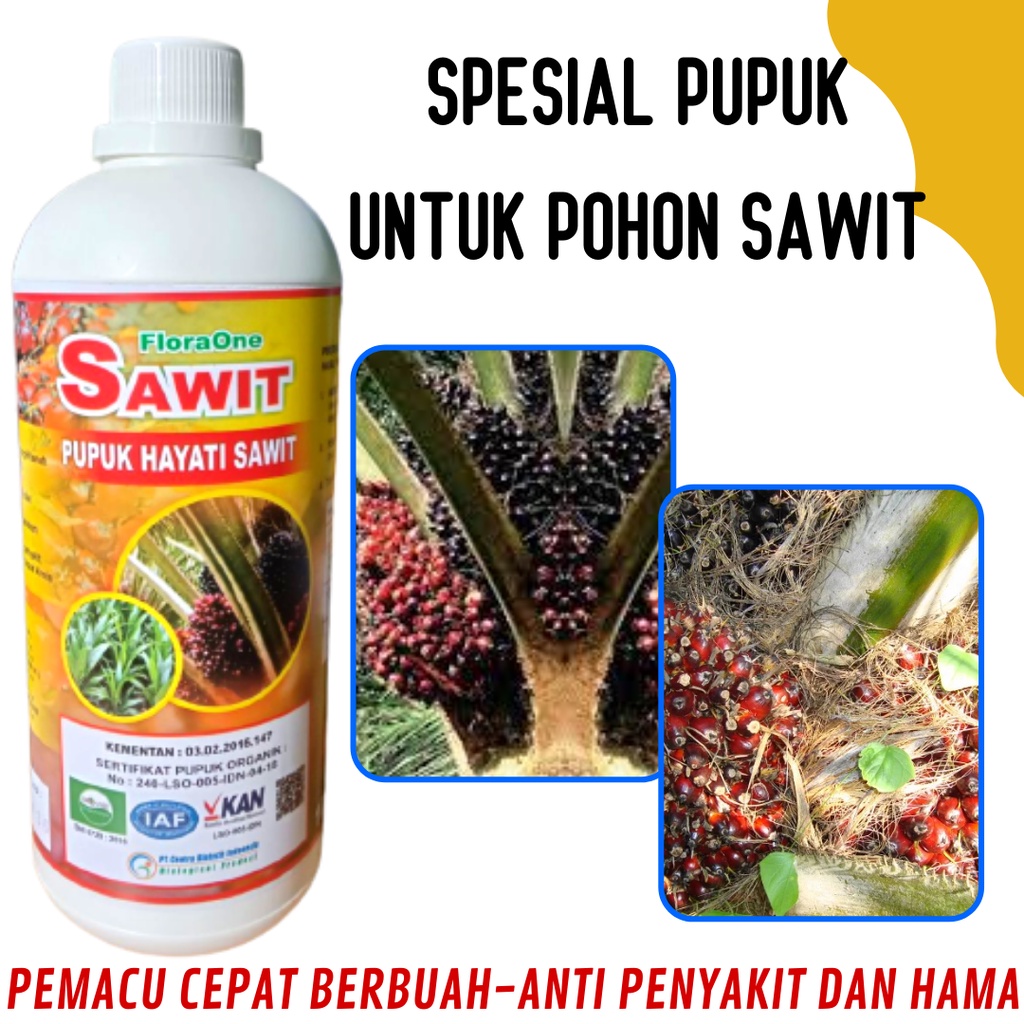 Pupuk sawit cair, pupuk sawit agar buah lebat, FLORA ONE pupuk kelapa sawit yang paling bagus