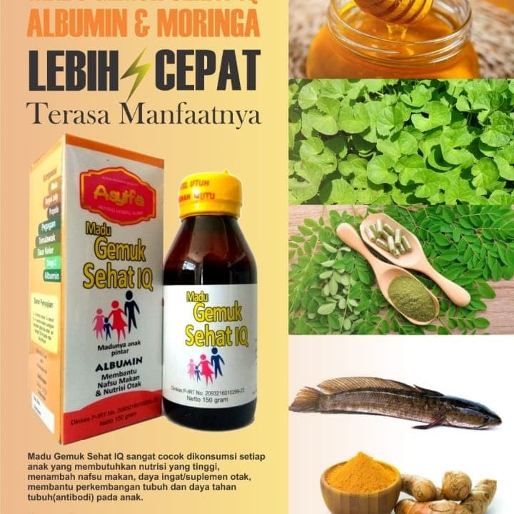 madu gemuk sehat IQ ASYIFA madu anak pintar albumin SUPLEMEN OTAK DAN PENAMBAH BERAT BADAN