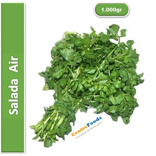 

Sayur Selada Air - Salada Jembak Fresh | 1.000gr [ Harga Per KG ]